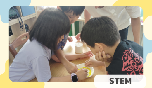 STEMの実験の様子