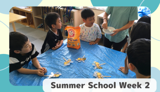 🌟2023 Summer School Week 2 を開催しました！🌟