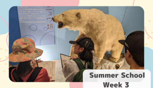 🌞2025 Summer School Week 3 を開催しました🌞