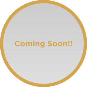 「英語を学ぶ」から「英語で学ぶ」レベルを目指す。アメリカ人女性がオーナーの英会話スクール。CLIL、Flipped Classroom（反転レッスン）を東北でいち早く導入